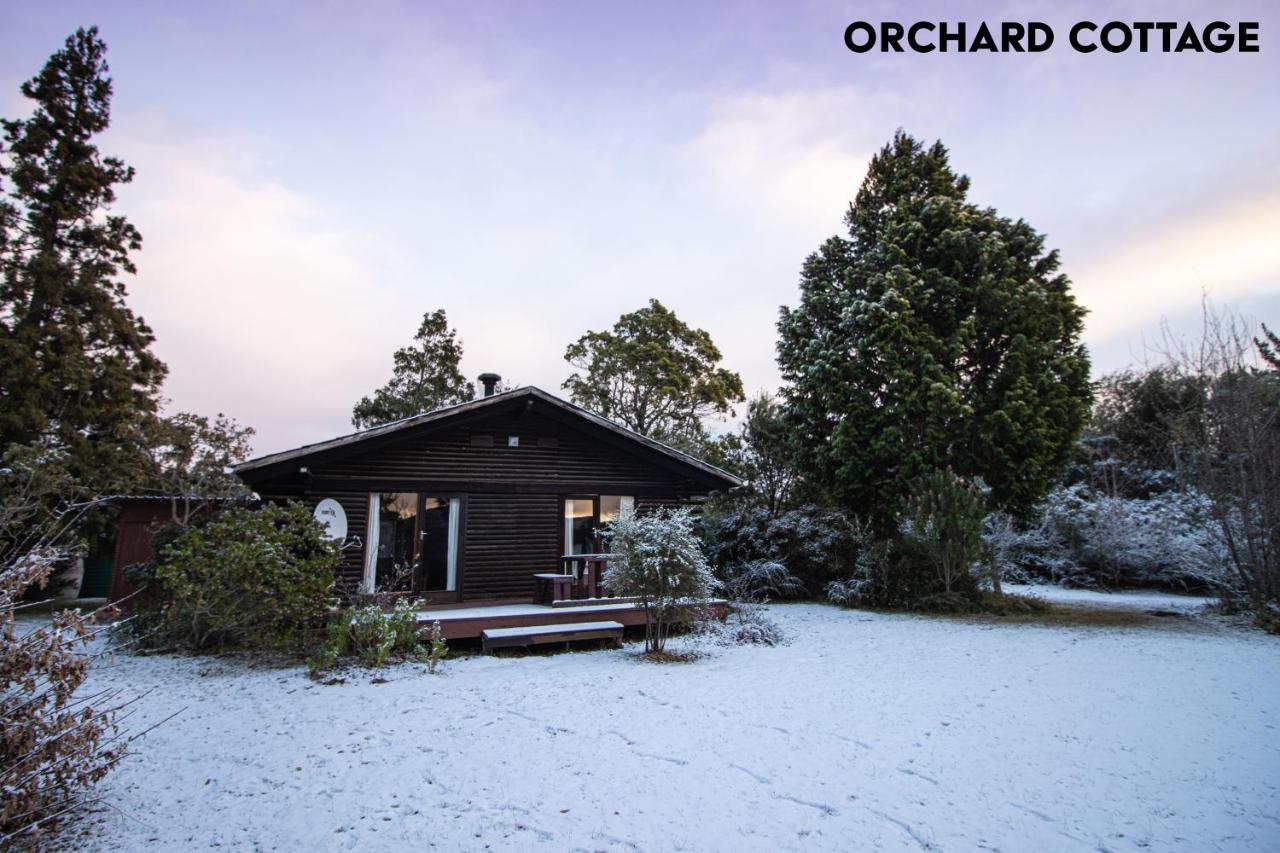 Jaya'S Place Hogsback Eksteriør billede
